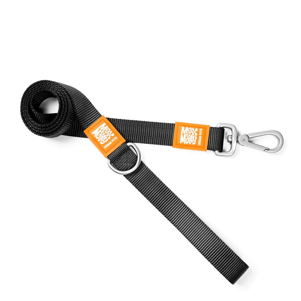 Max & Molly Pure Sky Blue And Colorful | Unique Design |Comfortable | Secure | Cushioned Neoprene | Sporty And Elegant | Short Leashes, L
