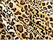 PAVILIA Leopard Fleece Wearable Blanket with Sleeves for Adults Women Men, Soft Warm Full Body Wrap Throw, Sweatshirt Pocket, Cozy Pullover Robe Blanket with Arm, Gifts for Christmas Mom Wife
