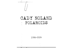 Cady Noland: Polaroids 1986-2024