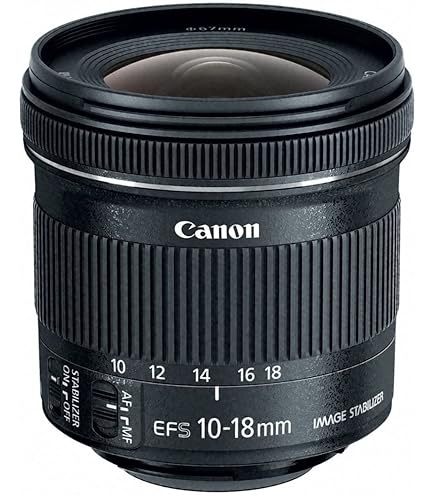 Amazon.com: Canon EF-S 24MM 1.2.8 STM : Electronics