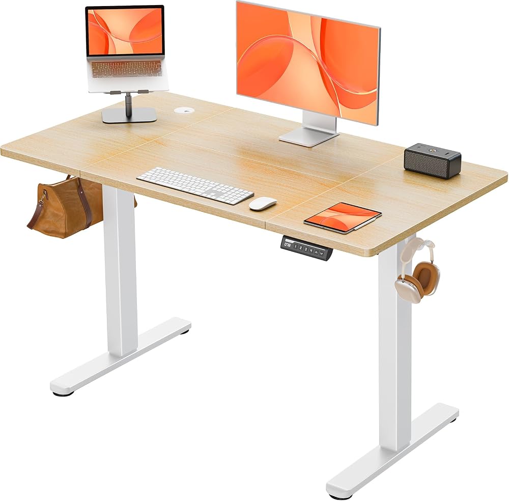 ErGear Electric Standing Desk 120 x 60 cm 4 Memory Panel Sit Stand Desk