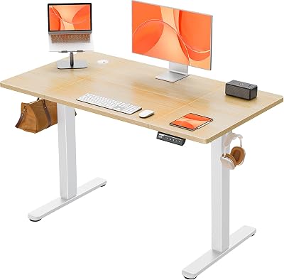 ErGear Electric Standing Desk 120 x 60 cm 4 Memory Panel Sit Stand Desk