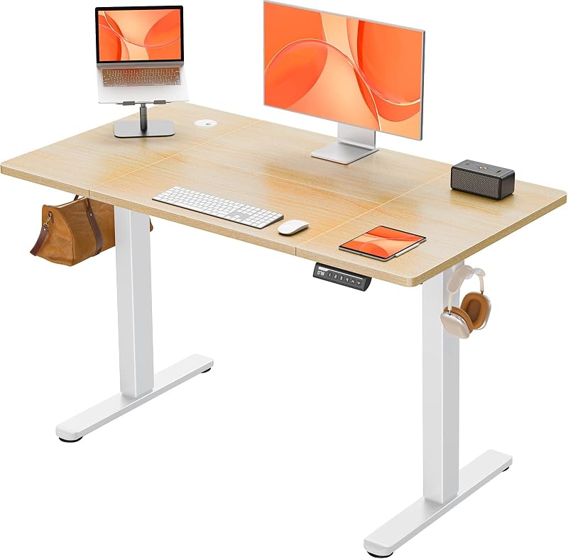 ErGear Electric Standing Desk 120 x 60 cm 4 Memory Panel Sit Stand Desk