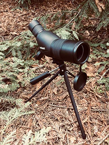 3 Roxant+Authentic+Blackbird+Definition+Spotting