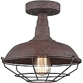 DAYCENT Rustic Semi Flush Mount Ceiling Light Barn Style Light Fixture Farmhouse Metal Cage Ceiling Light 1-Light Industrial 