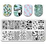 BORN PRETTY Stamping Template Summer Fruit Leaf Crane Rectangle Nail Art Image Plate BP-L076