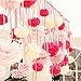 Bekith 30 Piece 10 inch Tissue Paper Pom Poms Flower Ball Wedding Party Outdoor Decoration