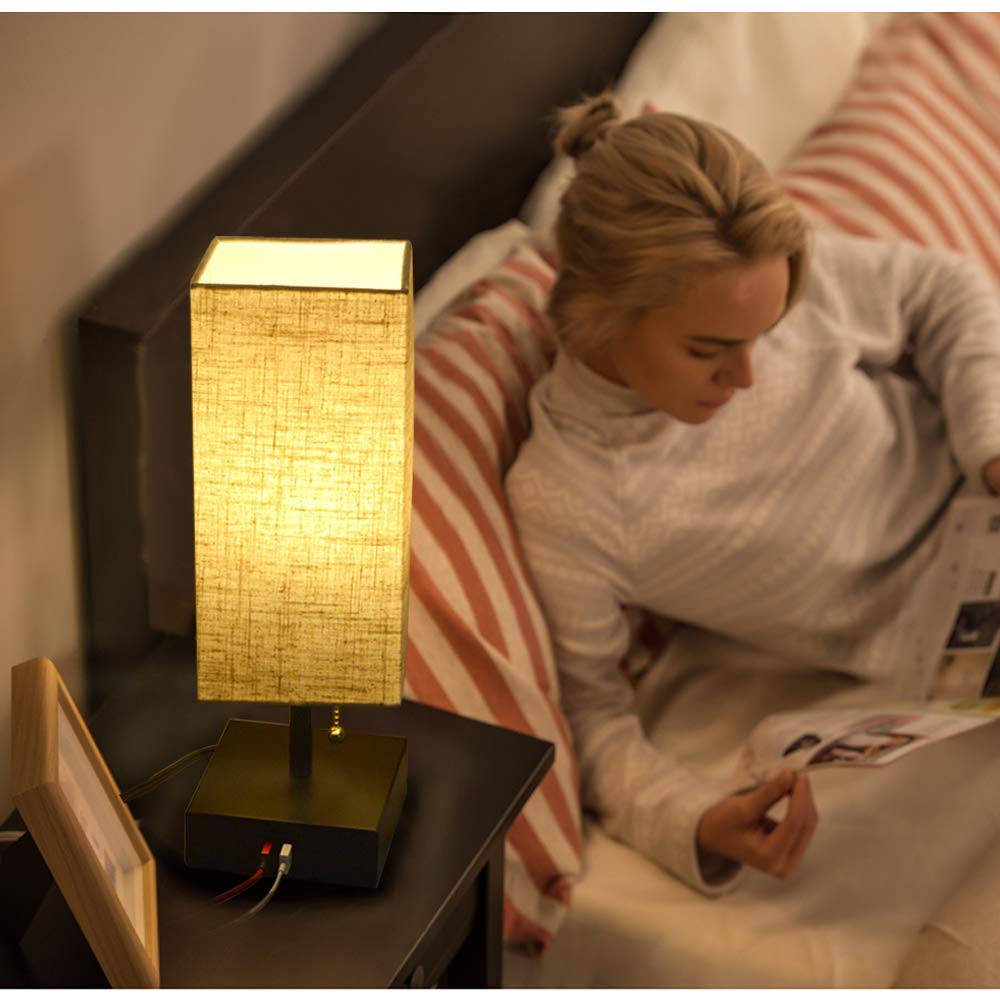 Dual USB Table Desk Lamp, Bedside Nightstand Lamp, Fabric Unique Lampshde,Convenient Pull Chain for Bedroom Living Room(Pack of 2) TY-801