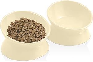 PWTAA Raised Cat Bowl Ceramic Extra Wide Cats Food Bowl, Set of 2, Anti-Vomiting Prevent Neck & Whisker Fatigue, Tilted Elevated Kitten Feeder Suitable for Cat and Puppy Cat Dish, Dishwasher Safe