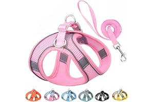 YOUALSO Small Dog Harness and Leash Set, No-Pull Reflective Puppy Harness for Outdoor Walking, Breathable Mesh Girl Cats Vest for XXS Xs Small Medium Female Pet Dogs, Pink XXS