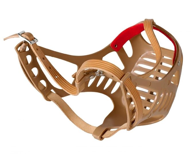 Buster Plastic Dog Muzzle Boxer, Size 5 Amazon.co.uk Pet Supplies