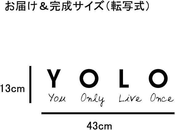 コレクション 一度 きり の 人生 英語