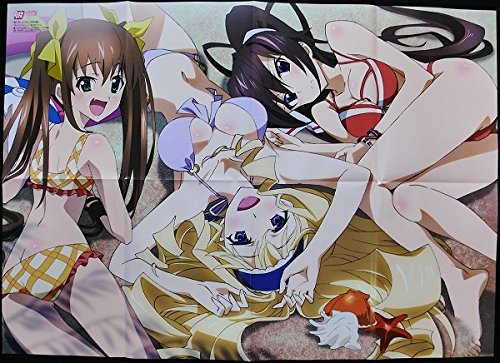 インフィニットストラトス 特大ポスター 凰鈴音 セシリアオルコット 篠ノ之箒 Is ビキニ水着アニメt5の買取価格 相場 高価買取なら買取一括比較のウリドキ