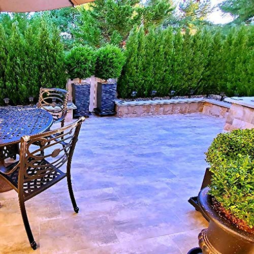 One 6 Foot Outdoor Artificial Cedar Topiary Tree Potted Uv Rated Plant Silk Tree Warehouse Company Inc 6 Foot Pricepulse