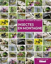 Insectes en montagne