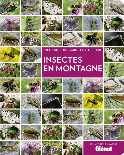 Insectes en montagne