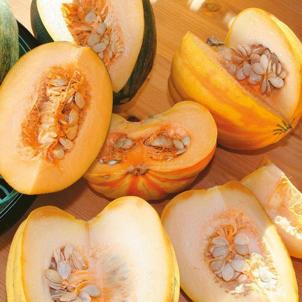 Squash Seeds Vegetable Garden Plant 'High Sugar Mixed' 1 Packet 10 Seeds by Thompson and Morgan, Green,Orange - Image 3