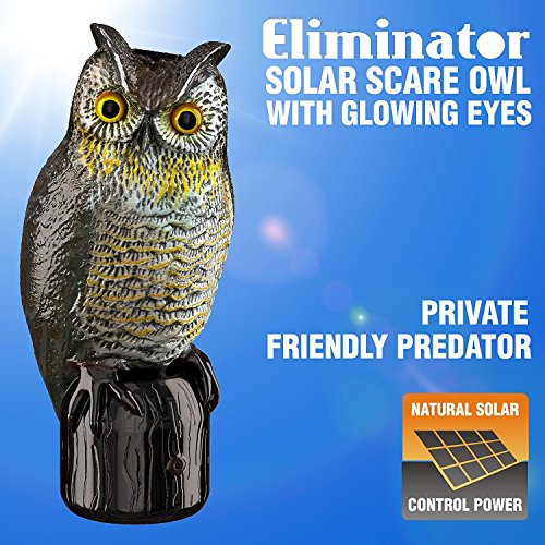 Eliminator Pest Control Scarecrow Owl Decoy Repeller & Deterrent with Scary Lighted Eyes + Frightening Sound – Solar Powered & Motion Activated – Scares Away Birds, Rabbits, Squirrels, Etc. [UPGRADED]
