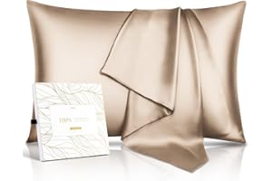 IOION 100% Pure Mulberry Silk Pillowcase for Hair & Skin - 22 Momme 6A High-Grade Fibers - Anti-Aging, Anti-Sleep Crease, Cooling Satin Pillowcases with Hidden Zipper, Best Gift Idea (Queen 20x30 Inches)
