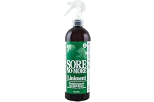 Sore No More Liniment Bottle with Sprayer (16-Ounce)
