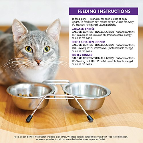 Wellness Core Natural Canned Grain Free Wet Pate Cat Food, Best Sellers