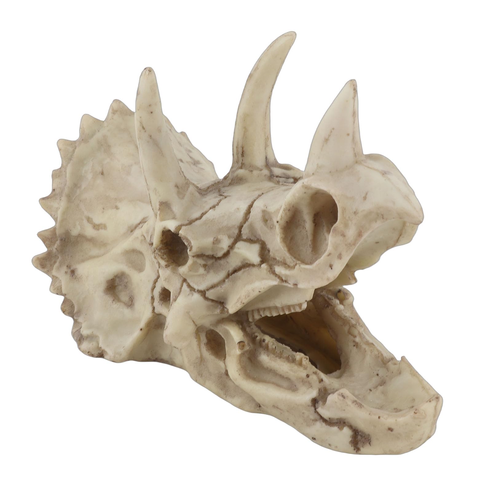 Fdit Resin Dinosaur Triceratops Imitation Skull Model Simulated Skeleton Home Office Display Decorative Craft Box Decoration