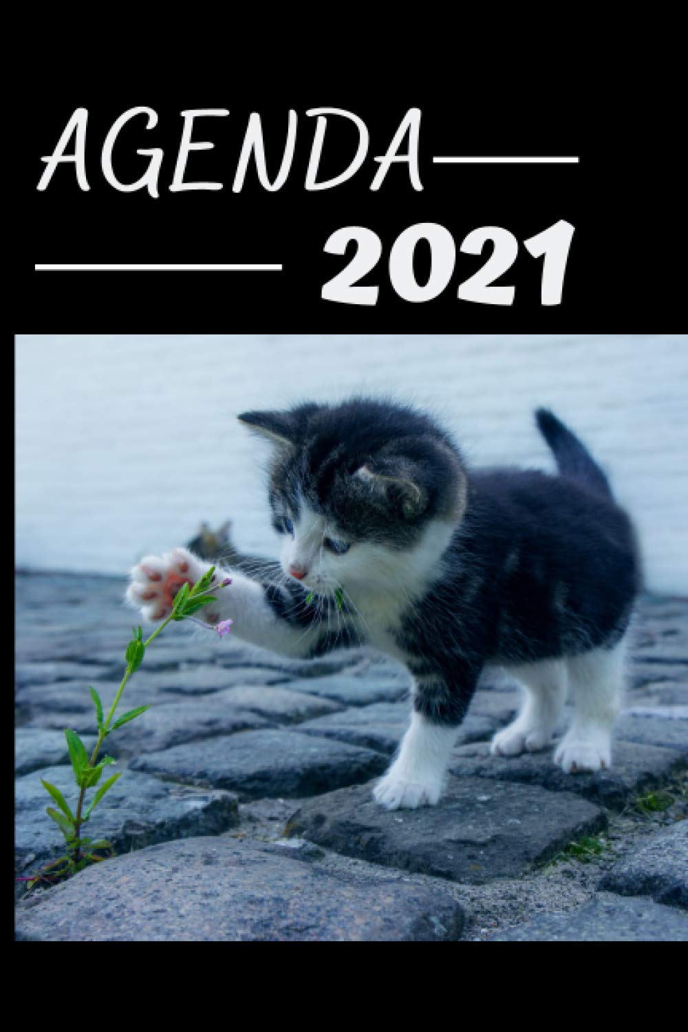 Agenda 21 Chaton Calendrier Semainier Du Lundi 04 Janvier 21 Au Dimanche 02 Janvier 22 135 Pages Pour Usage Familial Ou Professionnel 15 2 X 22 8 Cm Chaton Jouant Avec Une Fleur Lba Editions Amazon Es Libros