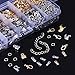eBoot 1000 Pieces Jewelry Findings Kit Iron Fold Over Cord Ends Lobster Claw Clasps Jump Rings Extension Chains for Jewelry Making