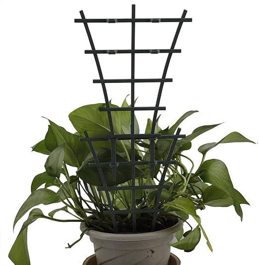 Nuxn 6pcs Small Indoor Plant Climbing Trellis