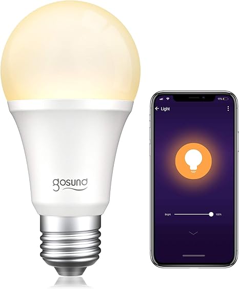 google home hub bulbs