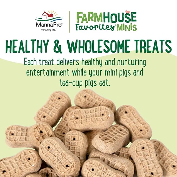 MANNA PRO FARMHOUSE FAVORITES MINI PIG TREATS, BAKED SNACK FOR MINI AND TEACUP PIGS, HAND-MIXED, PEANUT BUTTER FLAVORED, SUPPORTS TRAINING AND BONDING, PREMIUM TREATS FOR SMALL PIGS, 3 LB BAG