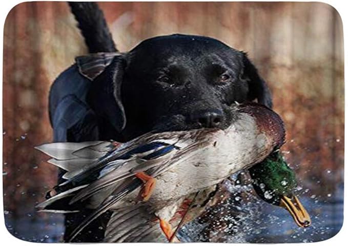 Amazon.com: Microfiber Bath Mat Rug, Funny Dog Hunting ...