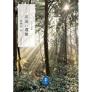 ヤマケイ文庫 ドキュメント 道迷い遭難 [Kindle版]