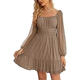 Wenrine Women's Mesh Long Sleeve Square Neck Dress High Waist A Line Ruffle Hem Flowy Casual Party Mini Dress