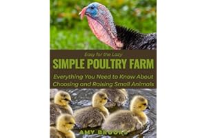 Easy for the Lazy Simple Poultry Farm: Everything You Need to Know About Choosing and Raising Small Animals (First Еxperience)