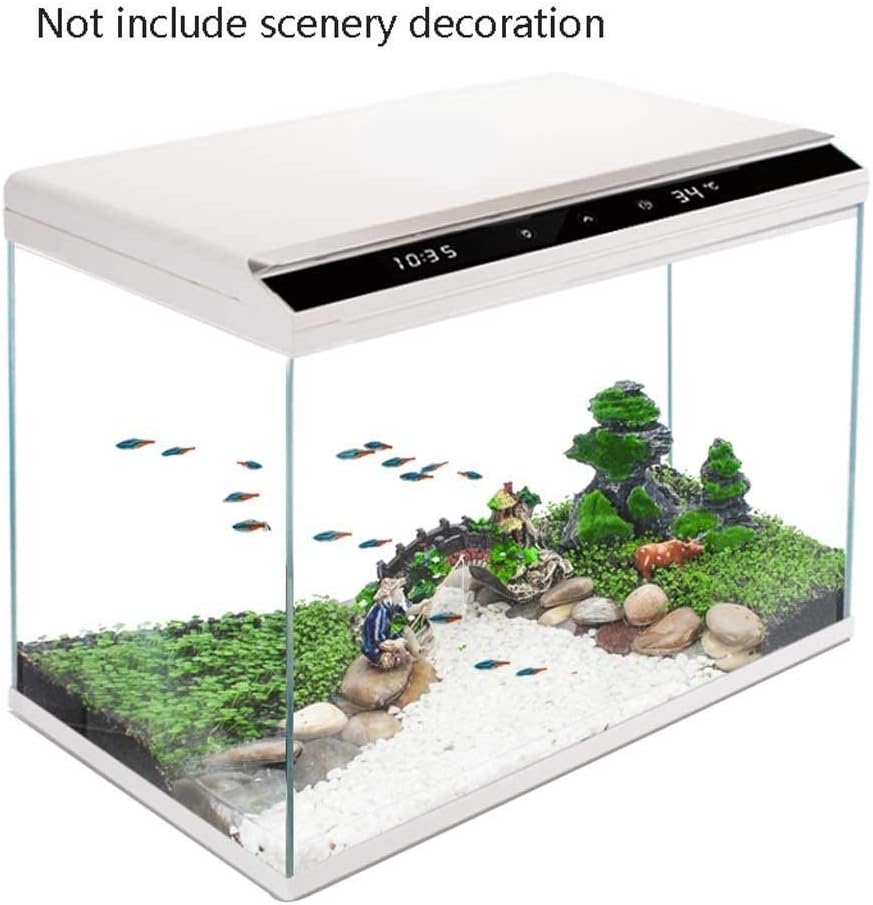 fish tank small size