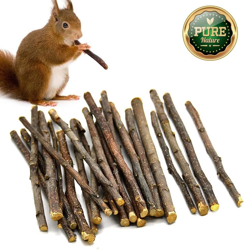 100g Pet Snacks Organic Apple Sticks Bonus for Squirrel Rabbits Guinea
