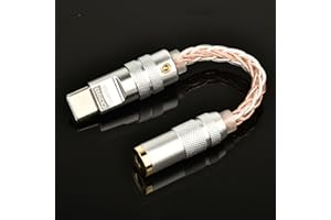 USB C Type-C to 3.5mm Dual DAC CX31993 MAX97220 Digital Audio Portable Decoding Amp HiFi Adapter Compatible with iPhone 15/15