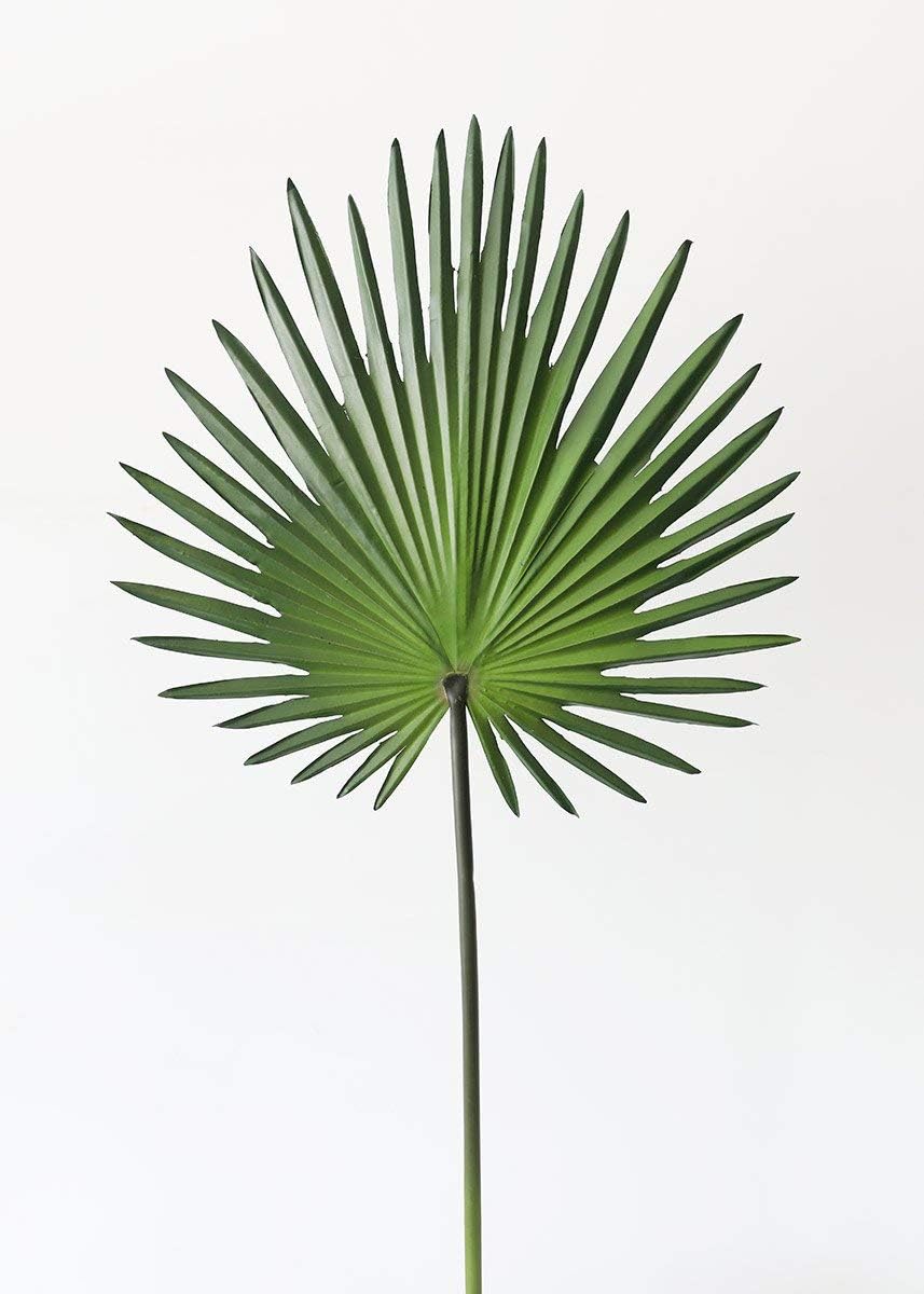 Amazon.com: Artificial Fan Palm Leaf 