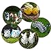 Dr.Beauty 100 pcs Miniatures Fairy Garden Accessories Miniature Ornament Kit with Tweezer Outdoor Plant Decoration DIY Décor Kit