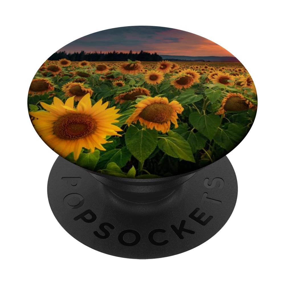 Sunflower Field Flowers PopSockets Swappable PopGrip