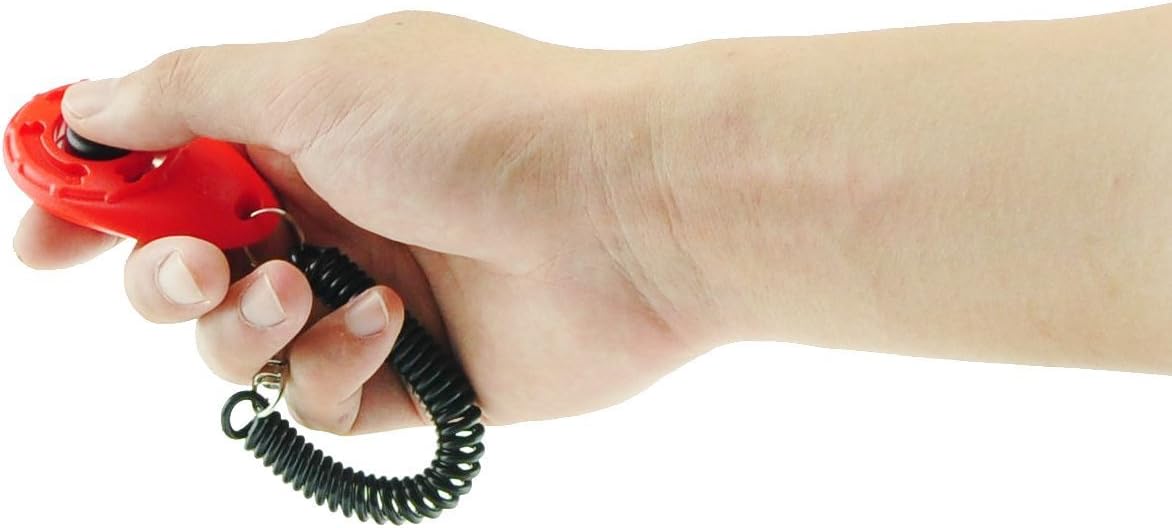Entrenamiento con clicker para perros