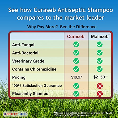 2 Antifungal+Antibacterial+Chlorhexidine+Ketoconazole+Satisfaction