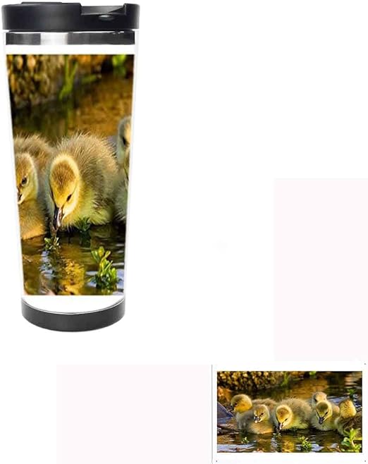 Amazon Com Duck Coffee Cup Travel Mug Thermos Mug Creative Cup Double Insulation Hot Travel Home Office School Work Hot Drinks Cold Drinks 18oz 0450 Kitchen Dining