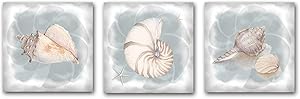 Yatehui Seashell Canvas Wall Art 3 Panel for Bathroom Watercolor Conch Shell Panting Prints Coastal Beach Theme Home Decor 12 x 12 Inch