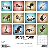 Image de Horse Yoga 2018 Wall Calendar