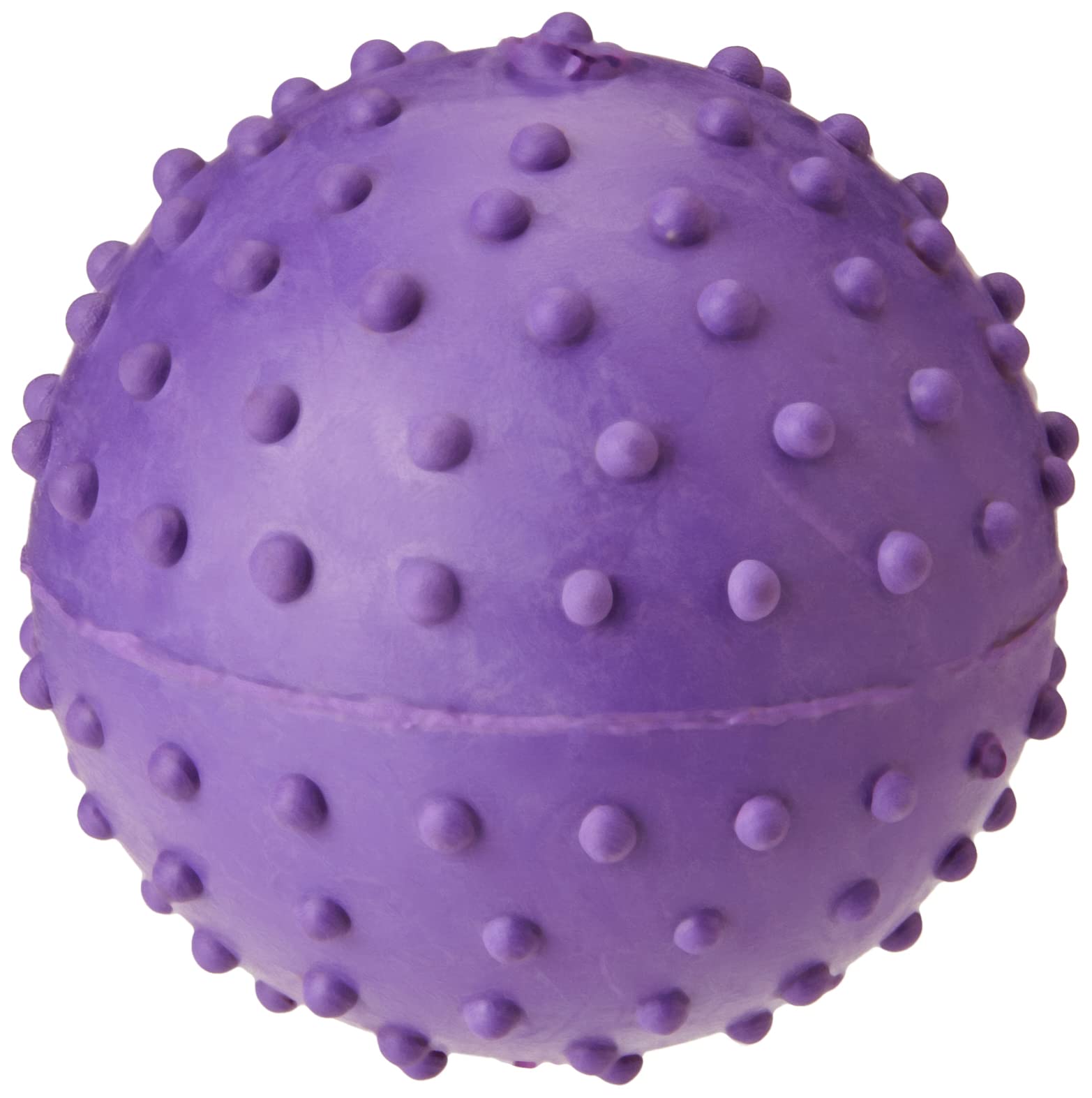 CLASSIC Pet Products for Dogs Pimple Ball with Bell, 60 mm, Purple