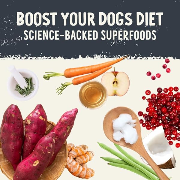 HEALTH EXTENSION SUPERBITES FREEZE-DRIED RAW BEEF MEAL MIXER FOR DOGS, (12 OZ, 340.2 G) – PREMIUM BLEND WITH RAW PROTEINS AND SUPERFOODS FOR OPTIMAL NUTRITION
