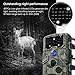 APEMAN Trail Camera 12MP 1080P Game&Hunting Camera with 120°Wide Angle 44 PCs IR LEDs Night Version up to 20M/65FT IP54