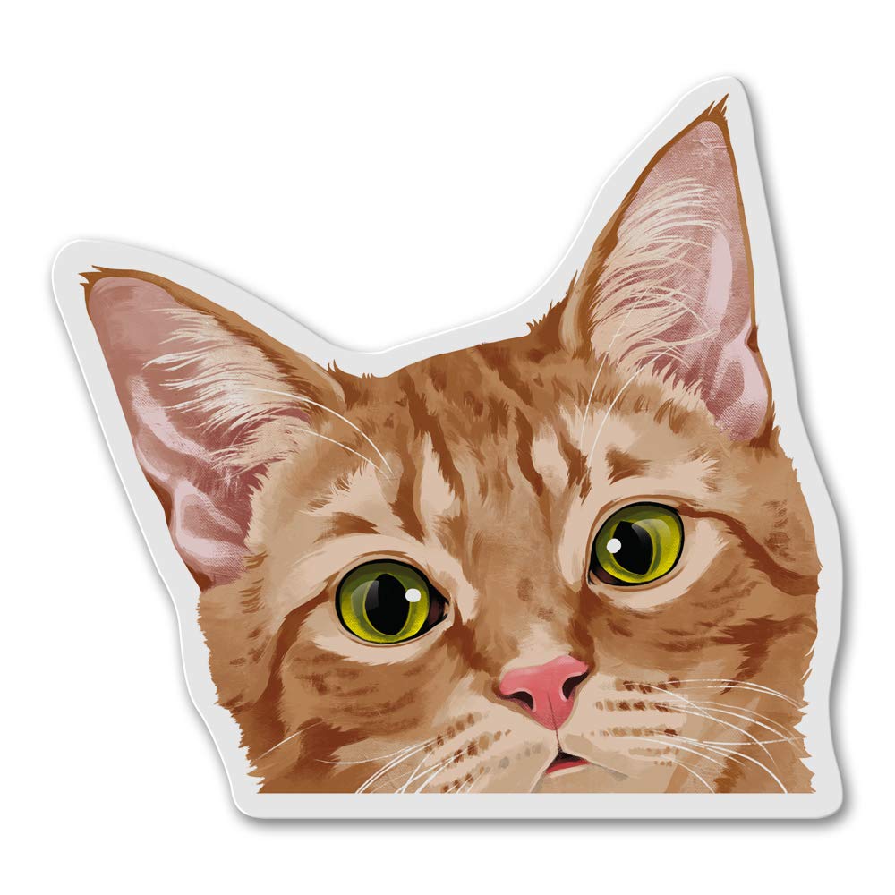 The 9 Best Magnets For Refrigerator Orange